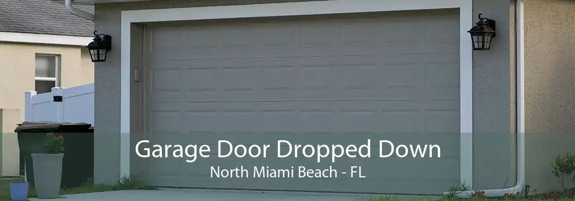 Garage Door Dropped Down North Miami Beach - FL