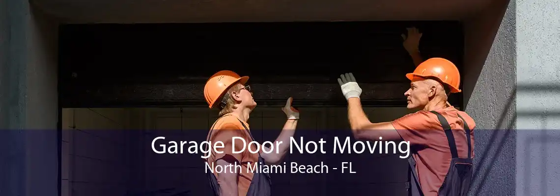 Garage Door Not Moving North Miami Beach - FL