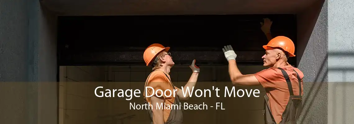 Garage Door Won't Move North Miami Beach - FL